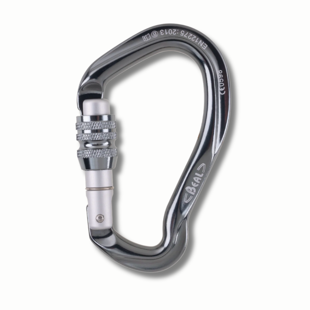 BE LINK Screw-Lock Carabiner
