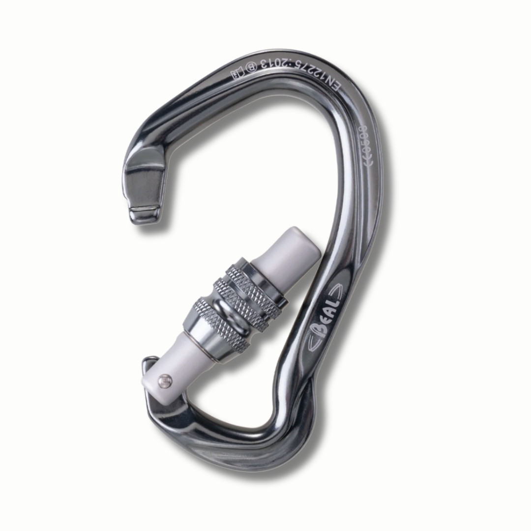 BE LINK Screw-Lock Carabiner